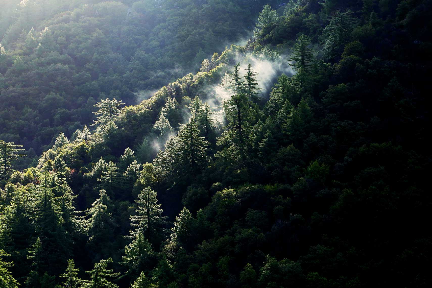 AngelesNationalForest.ChrisFortuna.04