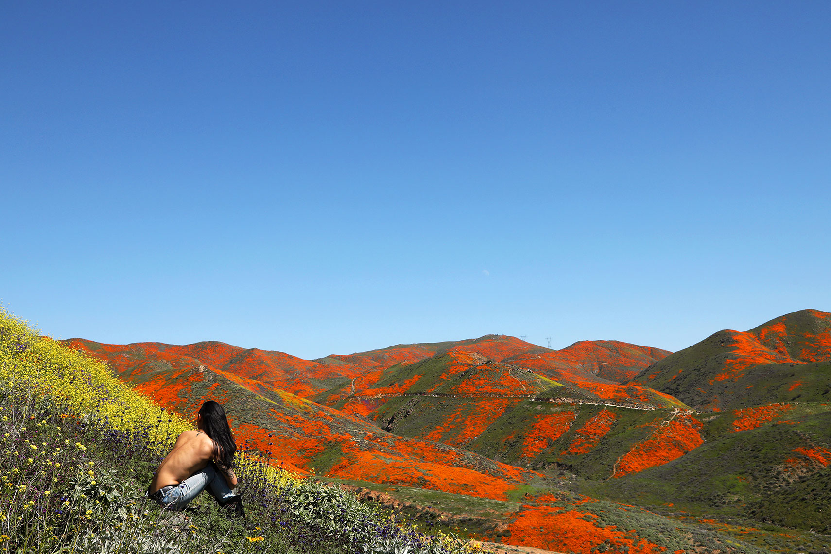 SuperBloom_03